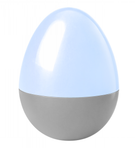 Custom fillable eggs- READ Description!