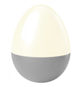 Custom fillable eggs- READ Description!