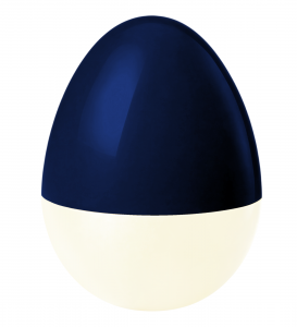Custom fillable eggs- READ Description!