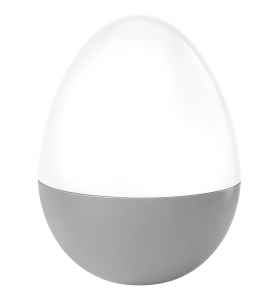 Custom fillable eggs- READ Description!