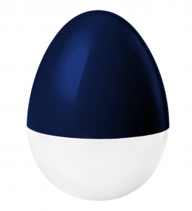 Custom fillable eggs- READ Description!
